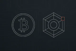 Entenda Coins e Tokens: Sua Porta de Entrada nas Criptomoedas