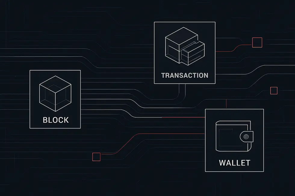 Interface visual de um blockchain scanner mostrando dados e transa&ccedil;&otilde;es.